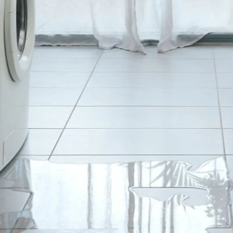Appliance Leak Cleanup in Benson, NC