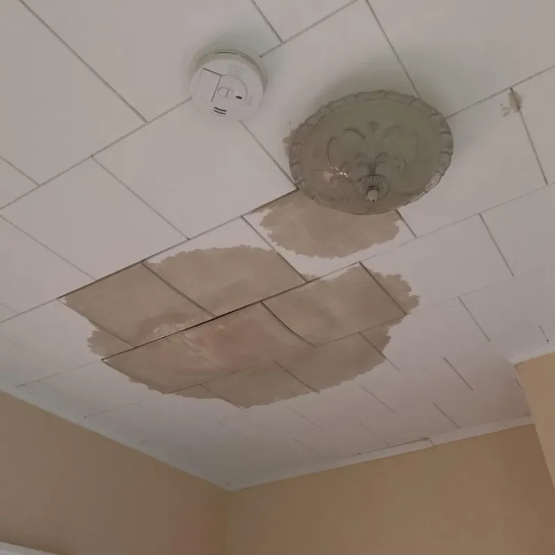 Ceiling Water Damage Repair in Benson, NC