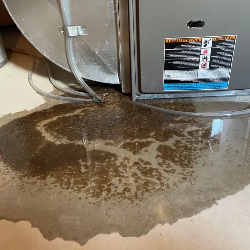 Pipe Burst and Leak Restoration in Benson, NC