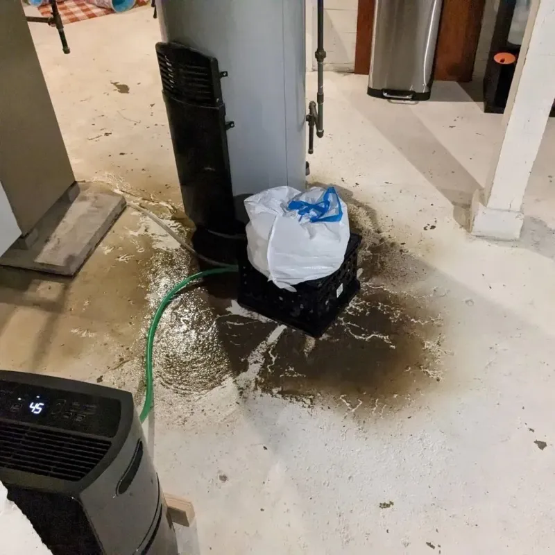 Sewage Backup Cleanup Service in Benson, NC